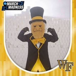 Meet your Posher, Sandy